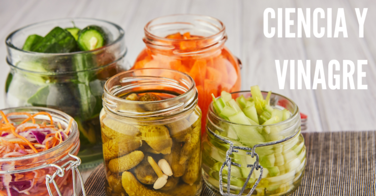 CIENCIA Y VINAGRE