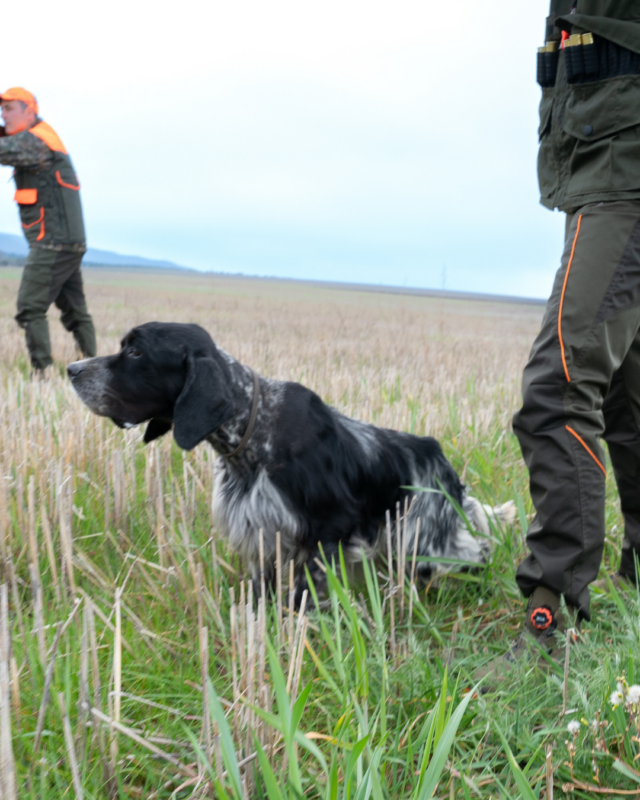 Vinagrerías Riojanas