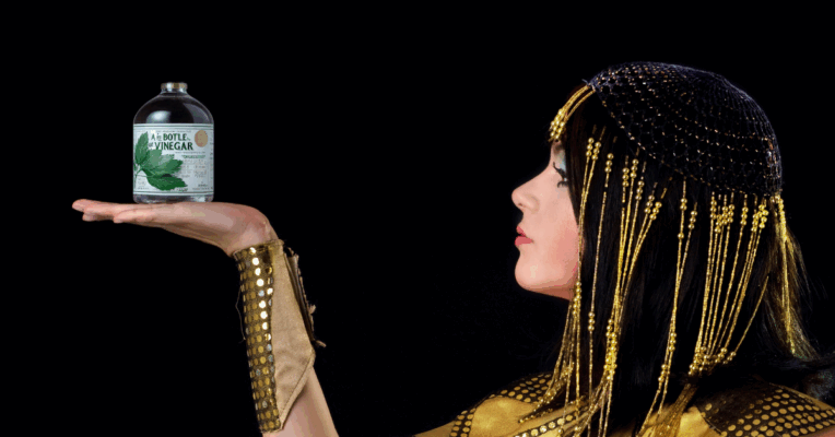 El vinagre en la cultura popular